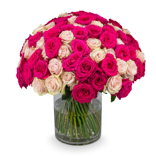 Bouquet od pink roses